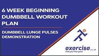 6 Week Beginners Dumbbell Workout Plan - Dumbbell Lunge Pulses Demonstration