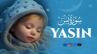 Surah Yasin (Yaseen Full) سورة يس |  Beautiful Quran Recitation | Qari Tajul Islam