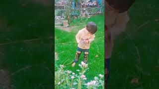 very cute little baby cats with m basran khan#cat #cute #viral #video #pets