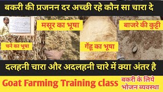 |Goatfarming Training Class 4|Bakri Ko Kaun Sa Chara Khilaye Taki Prajnan Dar Achhi Bani Rahe|