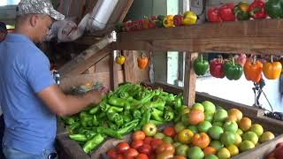 Manuel Jiménez: calles que bordean el "Mercado de Los mina" deben ser de una via.