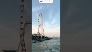 Ain Dubai - stunning views of the world's tallest Ferris wheel.| Dubai Deserts Safari #dubai