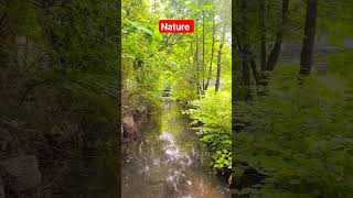 Beautiful Nature Whatsapp Status Video #shortsvideo #shorts