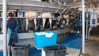 Stainless steel rotary milking parlor in Little Falls, NY