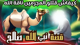 قصة نبي الله صالح و كيفاش المجرمين قتلو ناقة الله #قصص القرآن