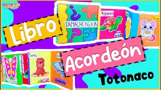 Episodio 5: Libro Acordeón De Adivinanzas En Totonaco-Totalmente Creativos