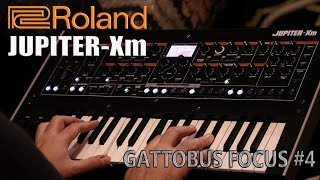 Roland Jupiter-Xm Focus - Vocoder e arpeggi by Gattobus