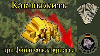 Как пережить экономический кризис / Программа "Бункер", Бонусный выпуск.