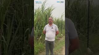 Transforming Farming | Knotted Fence Installation in Amroha, Uttar Pradesh | Farmer's Feedback