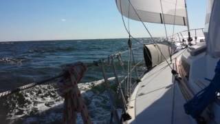 Auto-pilot driving, 4 ft swells, 10-20kts wind, 6-8kts boat speed broad reaching.