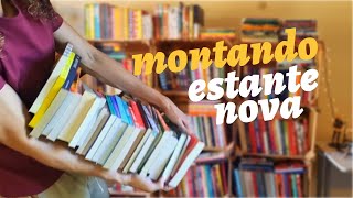 estante nova, montando e organizando os livros