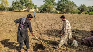 Making Divider in The Field  | Farms Working In Field