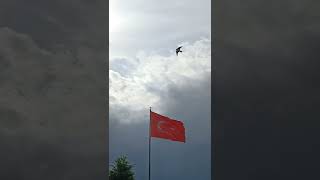 FLAG IN THE WIND. (RÜZGARA KAPILAN BAYRAK)