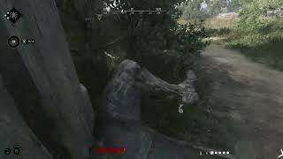 hunt showdown clip 94 there's a guy here