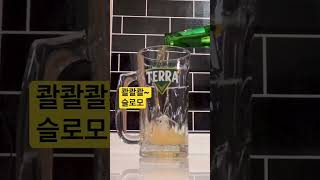 아이유曰 : 선배, 저 싫어하시죠?  #테라생맥잔 #첫잔