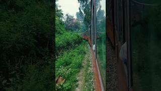 Shimla Kalka Toy Train Trip 💥🔥🔥 #shorts #shimlatour #shimla