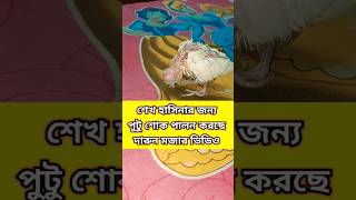 কেন শেখ হাসিনার জন্য পুটু শোক পালন করছে পুরো ভিডিওটি দেখলে বুঝতে পারবে🥵দারুন মজার ভিডিও 😂#shortsfeed