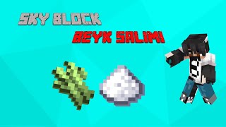 ماینکرفت sky block پارت 9 | suger Cane