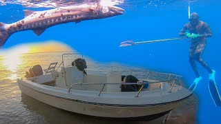 Diving & Spearfishing From A Boat Catch N Cook Fish