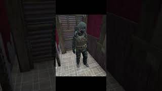 Меткий друг - беда команды #dayz #дейз #игры  #дейз #stalker #сталкер