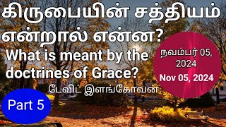 கிருபையின் சத்தியம் என்றால் என்ன?(What is meant by the doctrines of Grace?) Part 5