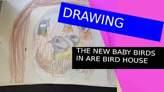 TIME LAPSE-DRAWING THE NEW BABY BIRDS IN ARE TREE