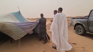 Giving a helping hand setting the Khayma at the exploration site in the Sahara Desert of Mauritania.