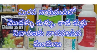 #damping-off in chilli #మిరప నారు మొదళ్ళ కుళ్ళు #100% కంట్రోల్ #viva #valagro