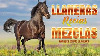 🐴Llaneras Recias Mezclas🐴Jorge Guerrero, Ali Cabello, Miquelito Diaz, Fernando Tovar, Reynald Armas