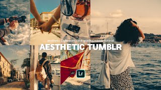 Aesthetic Tumblr - Lightroom mobile Presets tutorial #559