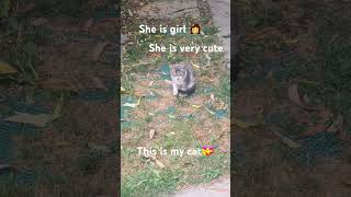 She is very cute this cat💝💝 #shorts