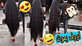 عراقية قزومه شوفو شعرها وين واصل_فديت القزومات😍