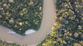 Wow! This Remote Ranger Station in the Amazon Rainforest in Peru is Where Volunteers Live and Work!