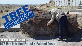 Petrified Forest National Park | Places to visit in Arizona