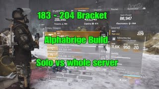 The Division 183 - 204 (SMG/Alphabrige) Build / Solo Manhunt