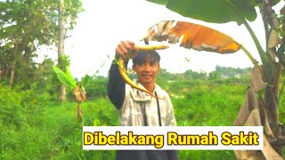 mancing belut dibelakang Rumah sakit