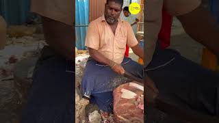 KASIMEDU MINNAL RAJA STINGRAY FISH CUTTING VIDEO / cutting focus #kasimeduminnalraja #bigfishcutting