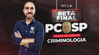 RETA FINAL | PC-SP - Processo Penal (Profº Pedro Canezin)