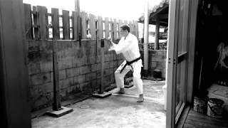 Makiwara Keiko. Free combinations. Okinawa, Kyudokan honbu dojo, june 2018