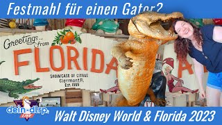 Unser erster Tag in Florida 🍊 | Walt Disney World & Florida 2023