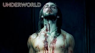 UNDERWORLD (2003) SELENE, MICHAEL, LUCIAN (FULL HD)