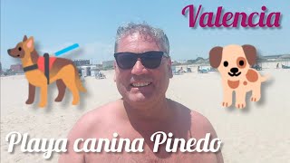 PLAYA CANINA DE PINEDO VALENCIA🇪🇸 Un vídeo muy divertido😄