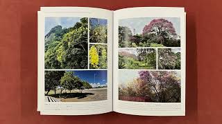 Intangible Heritage of Roberto Burle Marx