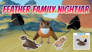 FEATHER FAMILY NIGHTJAR