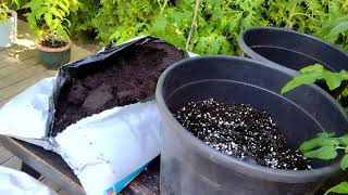 Mix your own soil for tomato plants & save money |  Soil recipe for tomatoes |  MattMagnusson.com