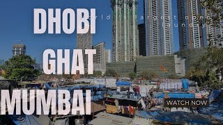 Unknown Facts about Dhobi Ghat, Mumbai-World's Largest Open-door Laundry