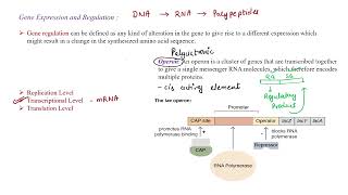 Lac Operon Part 1 || Gene Regulation and Expression || #CSIR || Usha Yadav