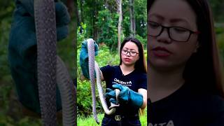 Snake Rescuer Viral lady