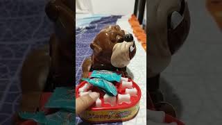 Mad dog loves this dynamite Choco candy #asmr #shorts #best #trendy #grumpydog