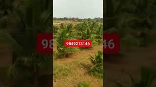 Agriculture Land for sale.9849213146